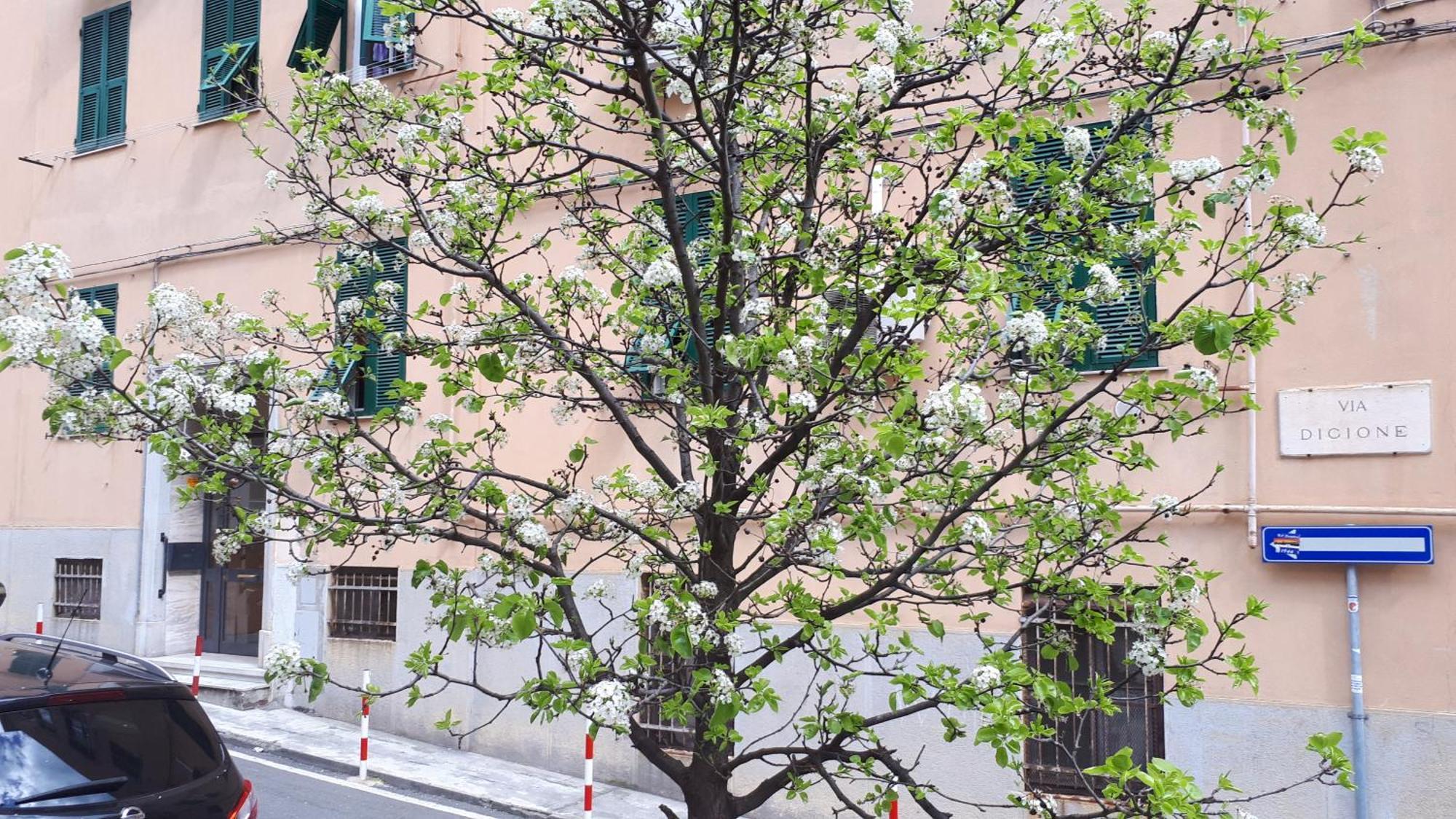 Ca'Saetta Bnb Holiday Home - Park & Go To Genoa Aquarium And Old Town ภายนอก รูปภาพ